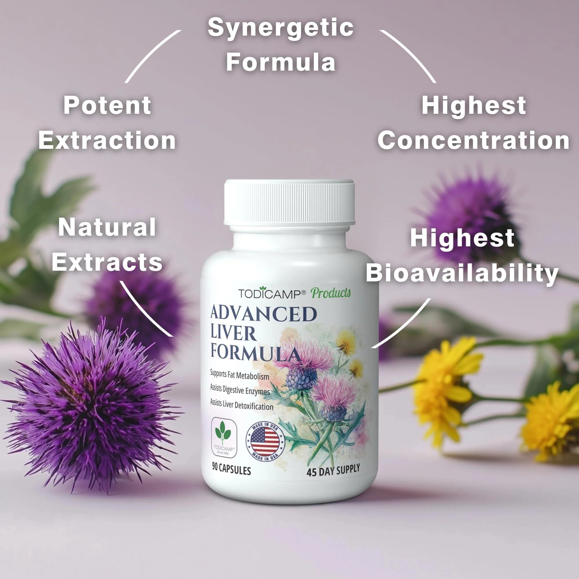 Liver Health with Milk Thistle Artichoke Extract Choline Advanced Liver Detox Capsules for Liver Cleanse Liver Repair Milk Thistle Liver Support (90 Capsules (Pack of 1))