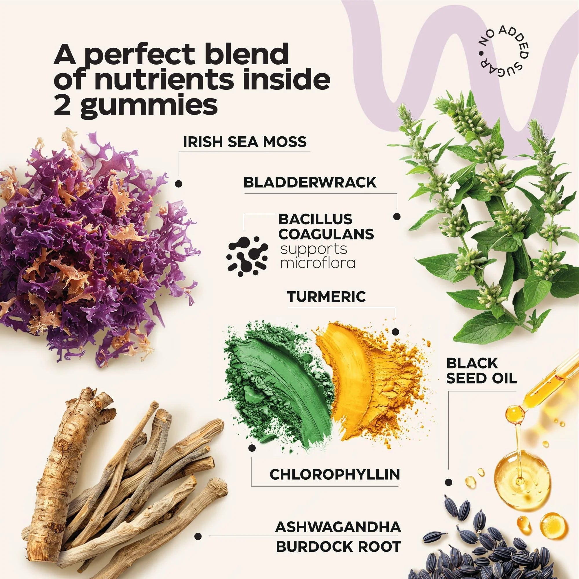 Multimineral Sea Moss Glow Gummies 3000 Mg Irish Seamoss for Immunity Thyroid